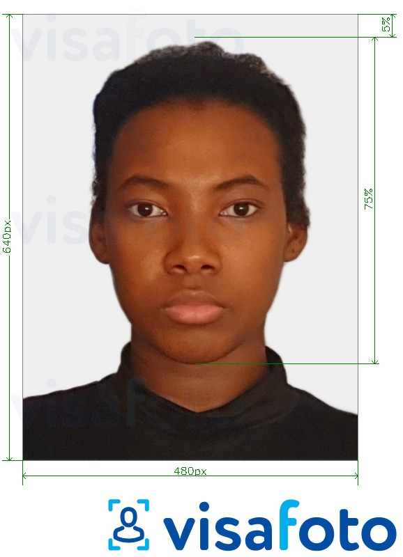 Tam ölçülü dəqiqləşdirmə ilə Bahamalar pasportu 480x640 piksel üçün şəkil nümunəsi