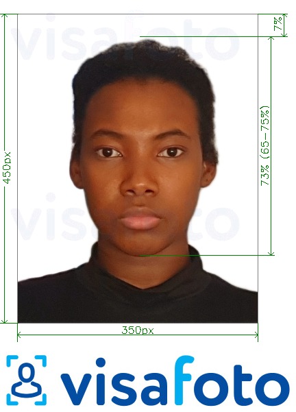Tam ölçülü dəqiqləşdirmə ilə Nigeriya onlayn vizası 200-450 piksel üçün şəkil nümunəsi
